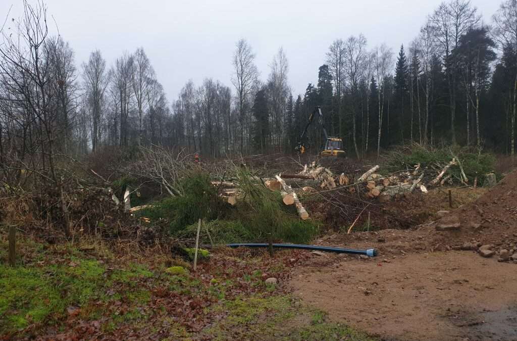 Nu åker skogen ner!!!